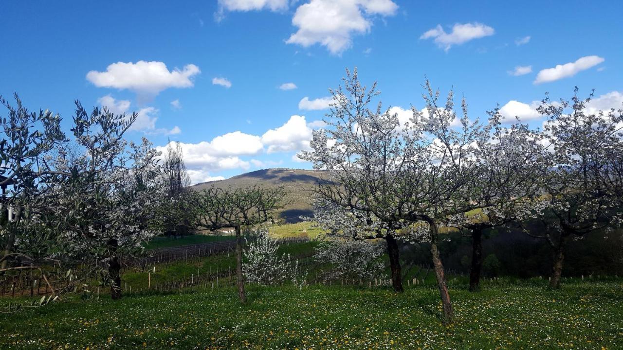 Casaroman San Floriano del Cóllio Esterno foto